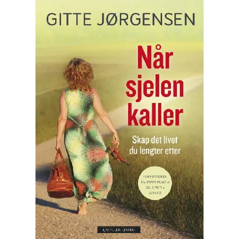 Bilde av best pris Når sjelen kaller - En bok av Gitte Jørgensen