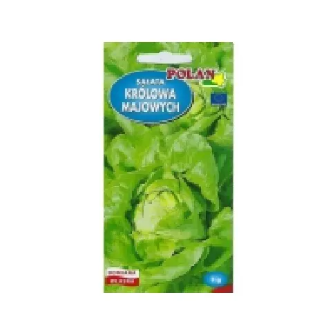 Bilde av best pris Nasiona Lactuca sativa - ekte salat (smørsalat) frø 1g Belysning - Innendørsbelysning - Bordlamper