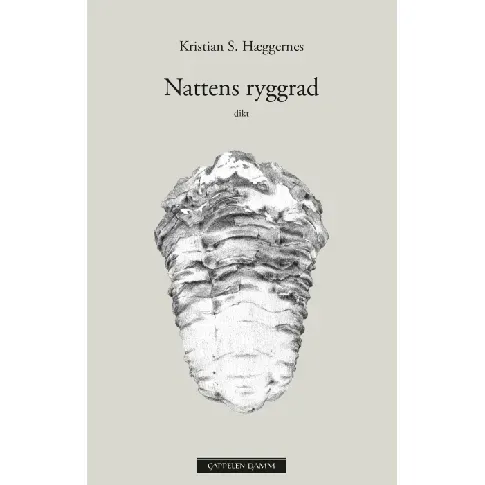Bilde av best pris Nattens ryggrad av Kristian S. Hæggernes - Skjønnlitteratur