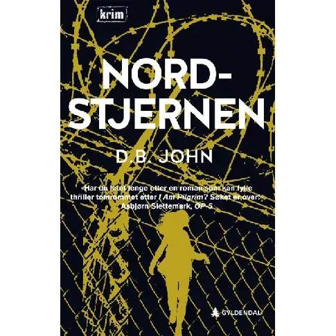 Bilde av best pris Nordstjernen - En krim og spenningsbok av D.B. John