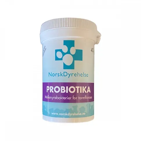 Bilde av best pris Norsk Dyrehelse Probiotika (40 g) Hund - Hundehelse - Kosttilskudd