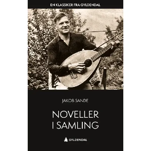 Bilde av best pris Noveller i samling av Jakob Sande - Skjønnlitteratur