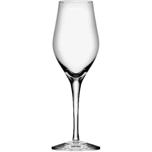 Bilde av best pris Orrefors Sense Champagneglass 25,5 cl, 6-pk Champagneglass
