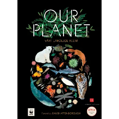 Bilde av best pris Our planet - En bok av Matt Whyman