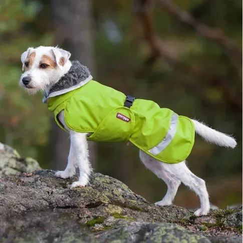 Bilde av best pris Pomppa Perus Vinterdekken Hund Grøn (25 cm) Hund - Hundeklær - Vinterdekken hund