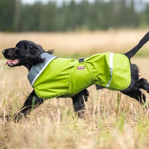 Bilde av best pris Pomppa Sade Regndekken Hund Grøn (28 cm) Hund - Hundeklær - Regnjakker hund