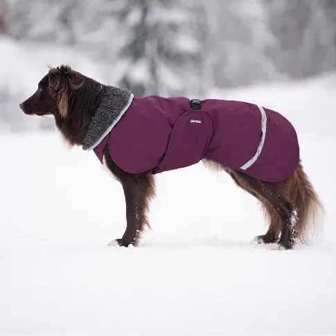 Bilde av best pris Pomppa Toppa Vinterdekken Hund Lilla (56 cm) Hund - Hundeklær - Vinterdekken hund
