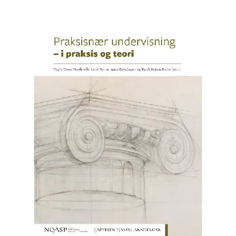 Bilde av best pris Praksisnær undervisning - En bok av Yngve Troye Nordkvelle