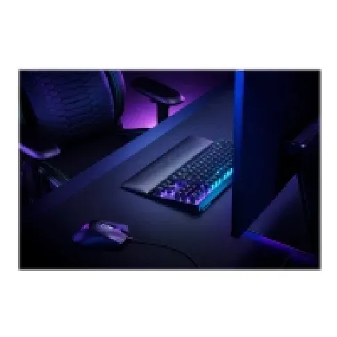 Bilde av best pris Razer Standard Edition - Håndleddsstøtte - tenkeyless PC tilbehør - Mus og tastatur - Håndleddssøtte