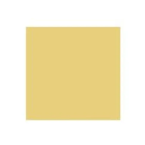 Bilde av best pris Rembrandt Oil Colour Tube Naples Yellow Deep 223 Hobby - Kunstartikler - Oljemaling