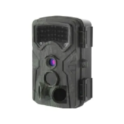 Bilde av best pris Renkforce RF-HC-550 Vildtkamera 13 Megapixel Low Glow LEDer Standardgrøn (silkemat) Utendørs - Kikkert og kamera - Viltkamera