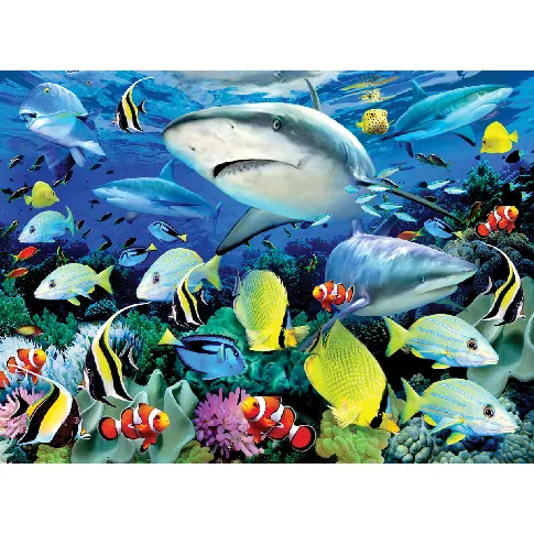Bilde av best pris Royal&Langnickel - Paint by Numbers Reef Shark (304105) - Leker