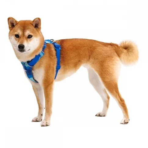 Bilde av best pris Ruffwear Front Range Hundesele Blå/Lysblå (L-XL) Hund - Hundeutstyr - Hundeseler