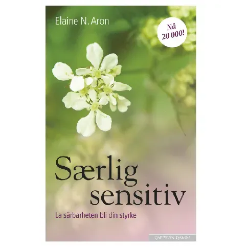 Bilde av best pris Særlig sensitiv - En bok av Elaine N. Aron