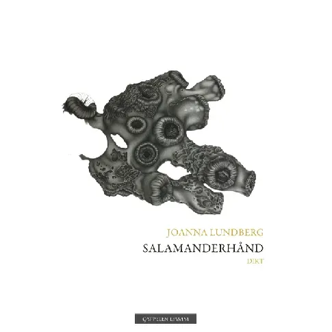 Bilde av best pris Salamanderhånd av Joanna Lundberg - Skjønnlitteratur