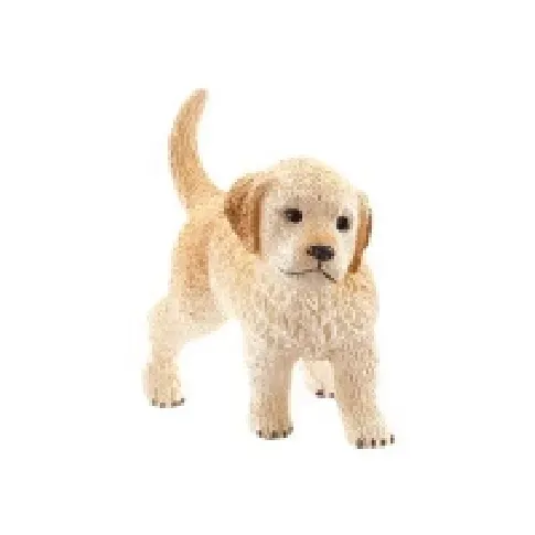 Bilde av best pris Schleich Farm Life - Golden Retriever Puppy Leker - Figurer og dukker
