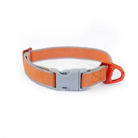 Bilde av best pris Siccaro - Sealines Dog Collar Mixed L - (S6011) - Kjæledyr og utstyr