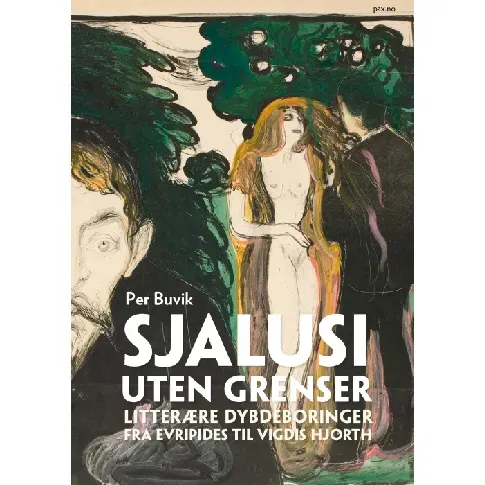 Bilde av best pris Sjalusi uten grenser av Per Buvik - Skjønnlitteratur