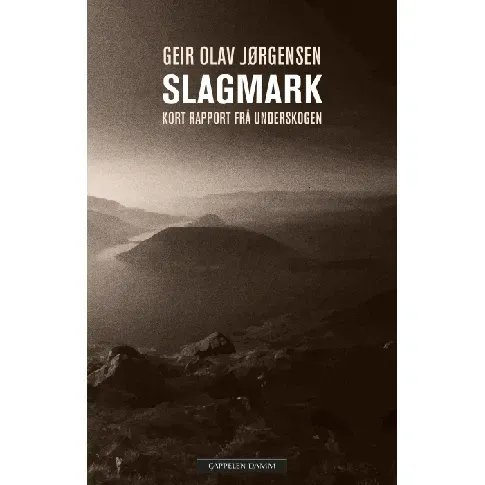 Bilde av best pris Slagmark av Geir Olav Jørgensen - Skjønnlitteratur
