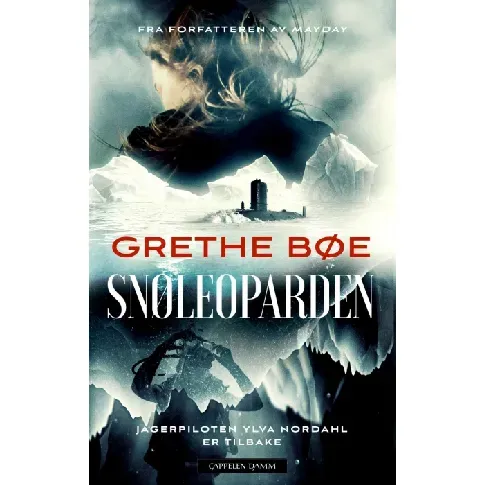 Bilde av best pris Snøleoparden - En krim og spenningsbok av Grethe Bøe