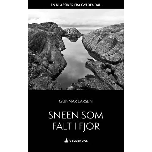 Bilde av best pris Sneen som falt i fjor av Gunnar Larsen - Skjønnlitteratur