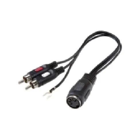 Bilde av best pris SpeaKa Professional SP-7869832 Phono / DIN-tilslutning Audio Y-adapter [1x DIN-bøsning 5-pol. - 2x Cinch-stik] Sort PC tilbehør - Kabler og adaptere - Adaptere