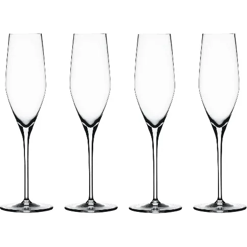 Bilde av best pris Spiegelau Authentis Champagneglass 19 cl 4pack Champagneglass