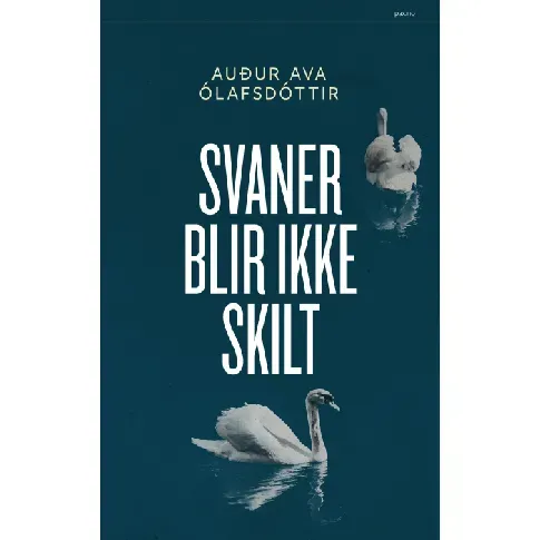 Bilde av best pris Svaner blir ikke skilt av Audur Ava Ólafsdóttir - Skjønnlitteratur