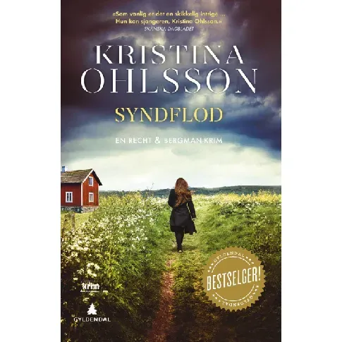 Bilde av best pris Syndflod - En krim og spenningsbok av Kristina Ohlsson