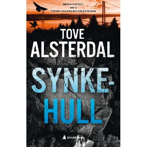 Bilde av best pris Synkehull - En krim og spenningsbok av Tove Alsterdal