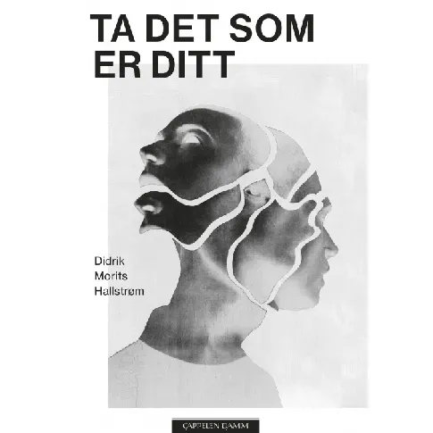Bilde av best pris Ta det som er ditt av Didrik Morits Hallstrøm - Skjønnlitteratur