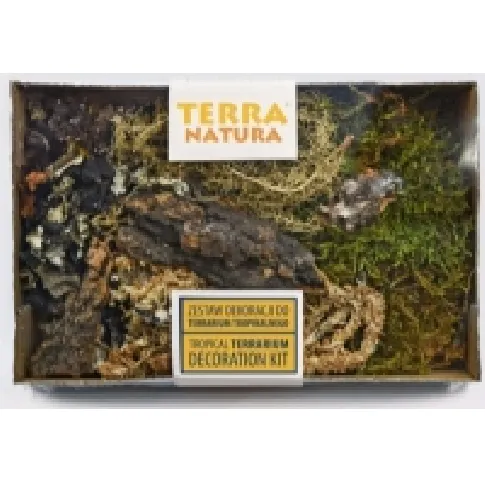 Bilde av best pris Terra Natura dekorasjon for et tropisk terrarium Kjæledyr - Fisk & Reptil - Sand & Dekorasjon
