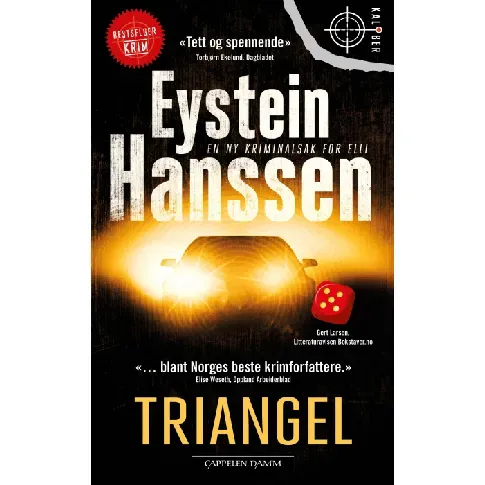 Bilde av best pris Triangel - En krim og spenningsbok av Eystein Hanssen