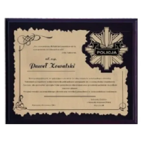 Bilde av best pris Triumph Diploma laget av plast med gravert laminat Skole og hobby - Skolehefter & Arbeidsbøker - Papir og papp