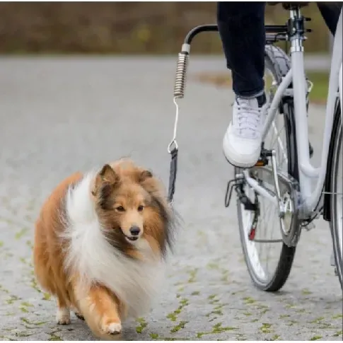 Bilde av best pris Trixie Biker-set De Luxe Cykelset Hund - Hundetrening - Treningsredskap for hund