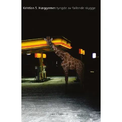 Bilde av best pris Tyngde av fallende skygge av Kristian S. Hæggernes - Skjønnlitteratur