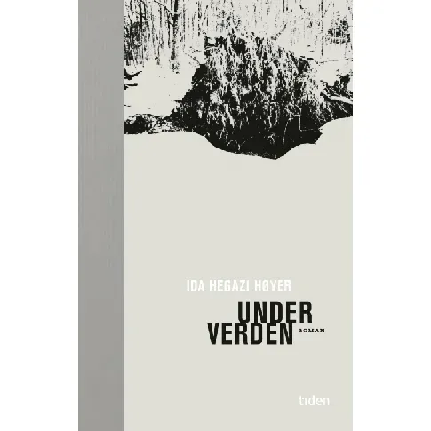 Bilde av best pris Under verden av Ida Hegazi Høyer - Skjønnlitteratur