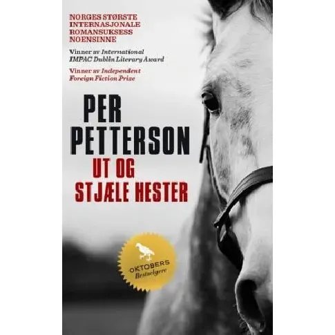 Bilde av best pris Ut og stjæle hester av Per Petterson - Skjønnlitteratur