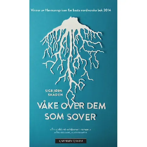 Bilde av best pris Våke over dem som sover av Sigbjørn Skåden - Skjønnlitteratur