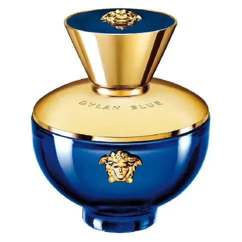 Bilde av best pris Versace Dylan Blue Pour Femme Eau De Parfum 100ml Mann - Dufter - Parfyme