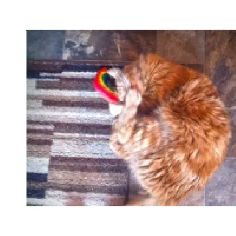 Bilde av best pris Yeowww Rainbow 1 st Kjæledyr - Katt - Katteleker