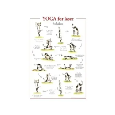 Bilde av best pris Yoga for køer PLAKAT Bøker - Sport - Trening